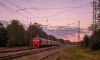 В Москве "разгрузят" станцию Железнодорожная благодаря МЦД-4