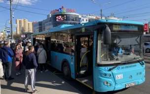 В Петербурге запустили два новых автобусных маршрута
