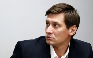 Дмитрий Гудков заявил, что у него на даче проходит обыск