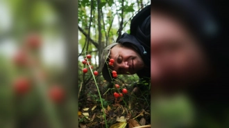 В лесах Петербурга и Ленобласти созрели ядовитые ягоды ландыша
