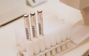 В Петербурге начались испытания первой в мире съедобной вакцины от коронавируса