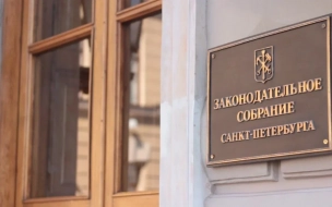 Петербургский ЗакС решили покинуть два депутата