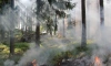 С 15 апреля начинается пожароопасный сезон в Петербурге