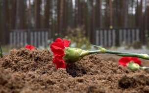 Останки 104 красноармейцев предали земле вблизи Кузьминского