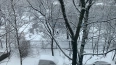 В МЧС предупредили о сильном снегопаде в Петербурге ...