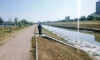 В Петербурге полностью очистят Дудергофский канал к 2024 году