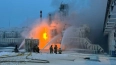 Названа возможная причина пожара на терминале в Усть-Луг...