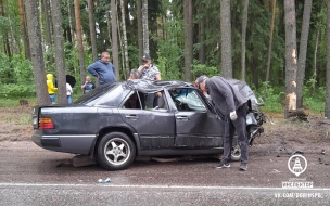 Под Выборгом водитель легковушки влетел в дерево и погиб