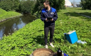 Петербуржцы чаще всего жалуются на неприятный запах воды в водоёмах