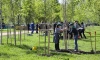 Полторы тысячи петербуржцев приняли участие в акции по озеленению города