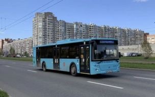 Петербург в 2024 году получит более 500 новых автобусов