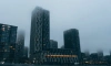 Петербуржцев предупреждают об утреннем тумане 12 января