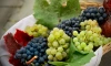 Петербургский эндокринолог развеяла популярные мифы о винограде