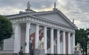 У Манежа в Петербурге открыли необычную арт-инсталляцию бразильского художника