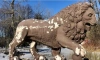 В парке Победы облезли скульптуры львов после зимы