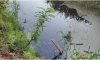 Малыш утонул в деревне Выбье в Ленобласти
