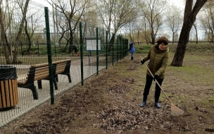 Сегодня в Петербурге проходит общегородской субботник