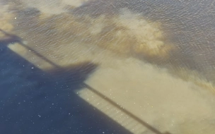 "Водоканал" обследует мутное пятно в воде на набережной Обводного канала