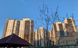 Утром в Петербурге будет туманно, днем выглянет солнце 