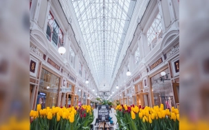 До 8 марта в петербургском Пассаже горожан будет радовать фестиваль тюльпанов