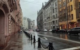 В четверг в Петербурге будет плюсовая температура и дожди