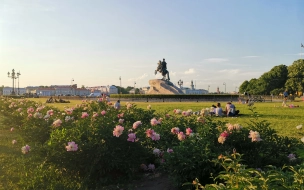 В Петербурге 29 мая грозовые дожди немного ограничат дневной прогрев