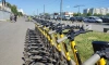 В Петербурге запретят кататься на электросамокатах во время важных праздников и форумов