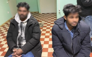 В Выборгском районе Ленобласти двое иностранцев пытались незаконно пересечь границу