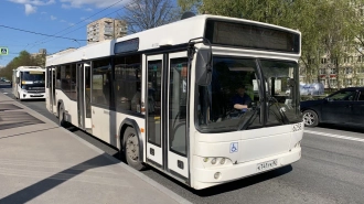 С 15 июля появятся автобусы №254, 260 и 261 в Петербурге 