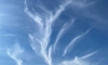 Редкие перистые облака запечатлели в Ленобласти