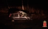 В Ленобласти в ДТП с лосём погиб мужчина