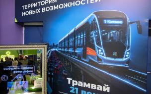 В Петербурге одобрили проект трамвая от Колпино до Шушар
