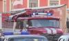 В пожаре на Будапештской улице погиб мужчина
