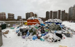 Петербуржцы могут пожаловаться на несвоевременный вывоз мусора через онлайн-систему 