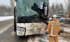 Более 400 человек погибли за год на дорогах Петербурга и Ленобласти