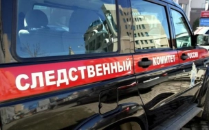 В Крыму следователи завели дело на школьника, пытавшегося задушить 13-летнюю девочку
