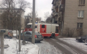 Сотрудники МЧС спасли из горящей квартиры на Московском шоссе пять кошек