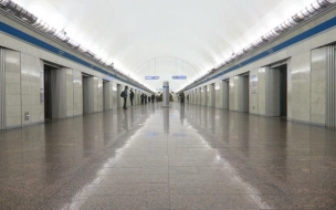 Поляков: сбой на синей ветке метро произошёл из-за аномальной жары