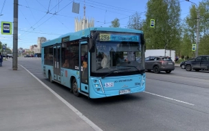 В Петербурге четыре автобуса 11 ноября изменят маршрут 