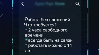 В МВД предупредили, что мошенники стали использовать сезонные сценарии обмана