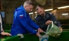 В Неву выпустили тысячу молодых особей атлантического лосося