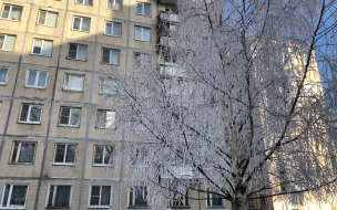 В конце рабочей недели в Петербурге продолжит идти снег под влиянием циклона