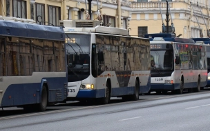 В Кировском районе задержали троллейбусного воришку со стажем
