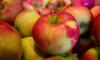 В Петербург не пустили почти 20 тонн яблок из Белоруссии