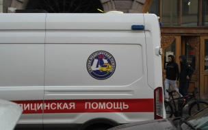В Петербурге мать самолечением довела 15-летнего сына до смерти