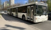 В Петербурге усилят движение общественного транспорта на нескольких маршрутах