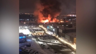 В "Дельта-строй" опровергли причастность к пожару в ТЦ "Мега Химки"