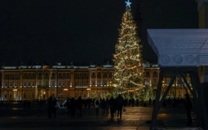 В этом году Петербург будут украшать более 65 новогодних елей