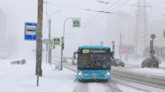 До конца 2024 года Петербург получит 100 новых электробусов
