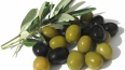 У берегов Хайфы нашли древний оливковый завод